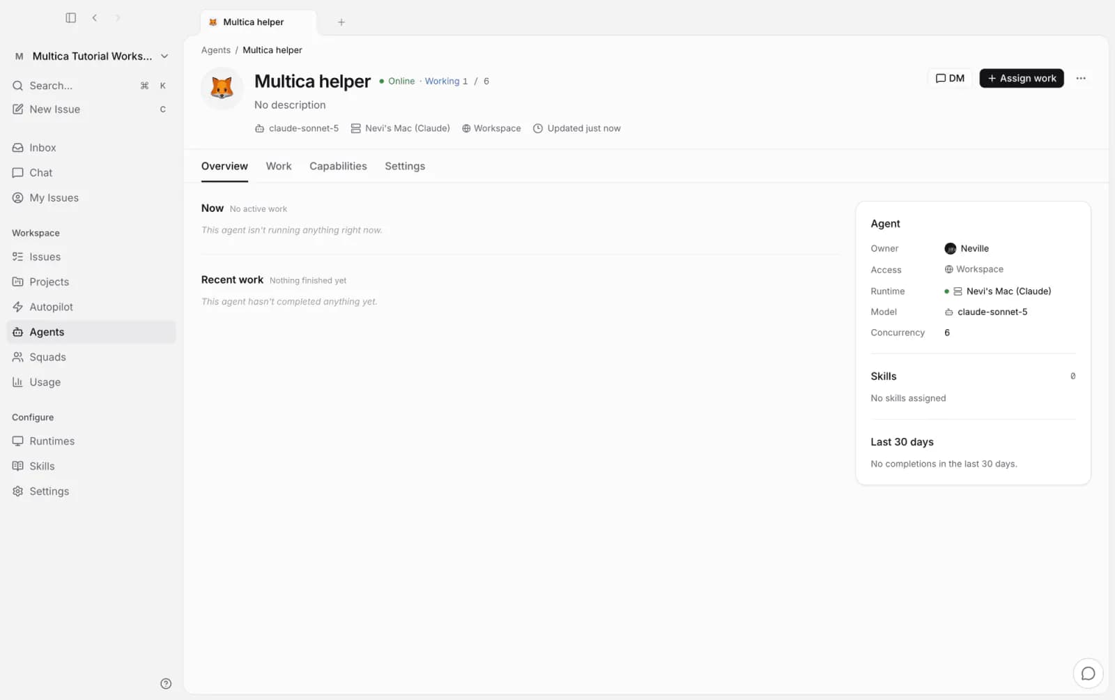 Agent detail: Clowld Space helper online